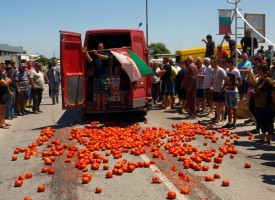 Тонове домати ще залеят пътищата, българският производител избухна в Огняново