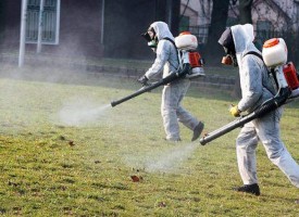 Кърлежи, комари, мушици – виж опасностите, които ни дебнат чрез тях
