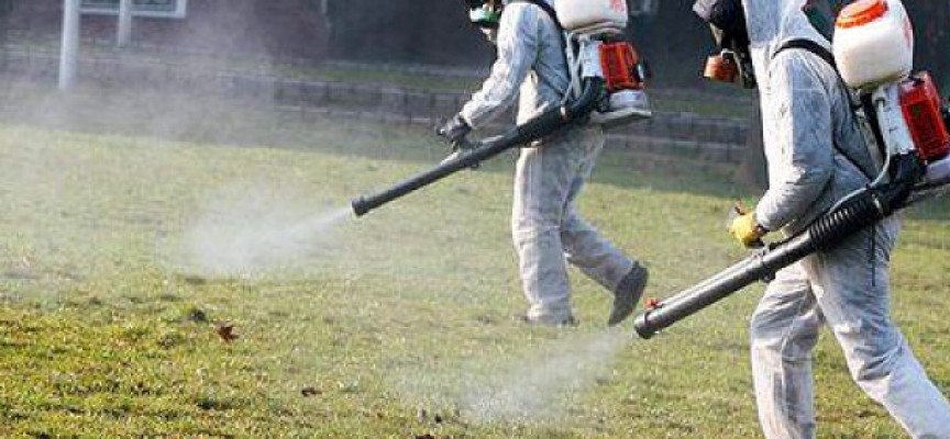 Кърлежи, комари, мушици – виж опасностите, които ни дебнат чрез тях