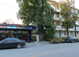 Клон от кестен падна на бул.“България“