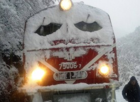 Теснолинейката с 30 човека във вагоните дерайлира между Якоруда и Белица