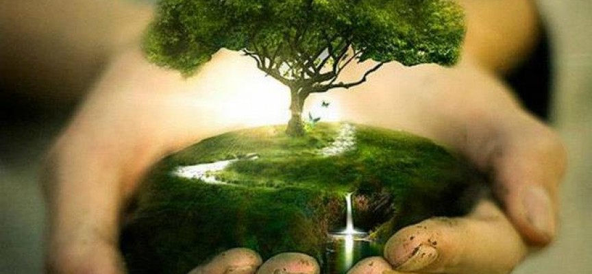 В събота: РИОСВ призовава – „Свържи се с природата в Часа на Земята“