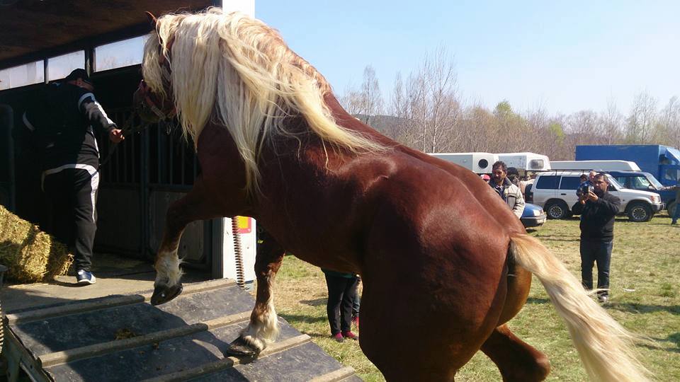 калугерово4