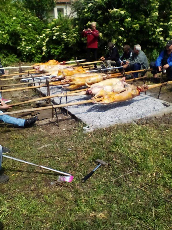 06паталеница