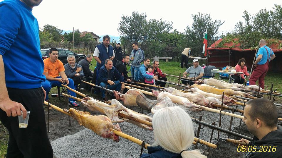 06паталеница3