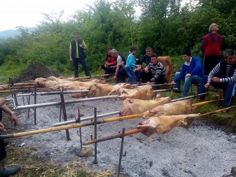 06паталеница6