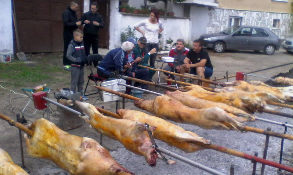 06паталеница9