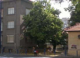 Роми кършат липов цвят на ул.“Г.Бенковски“