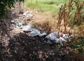 Бял бус разпилява боклуци край Синитово, РИОСВ и кметството да се сезират