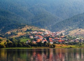 Община Сърница търси консултант за проекти