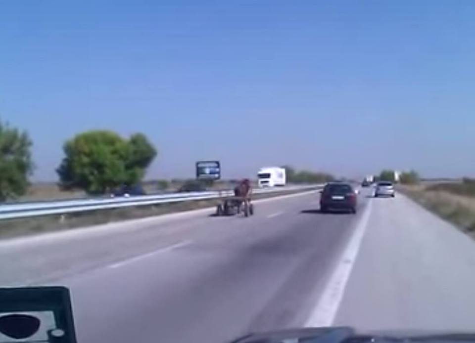 19каруца