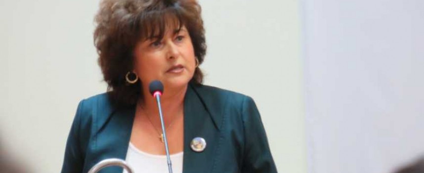 Гинче Караминова казва за Медицинския колеж в понеделник