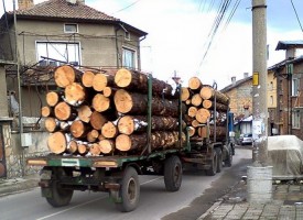 Задържаха камион с незаконни дърва край Сърница