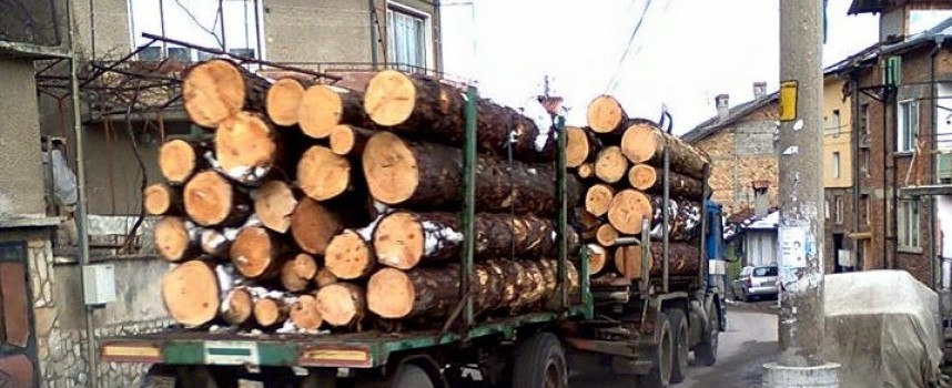 Спипаха апаши на дървесина в Семчиново, Славовица и Панагюрище