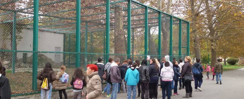 36 деца от социални домове в Бургас отдъхваха за седмица във Велинград