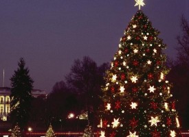 УТРЕ: Гледаме онлайн запалването на светлините на Коледната елха