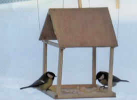 Нахранете птичките, трудно е да си намерят зрънца в снега, вижте идеи