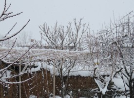 ОД МВР – Пазарджик: Не пътувайте, ако не е спешно, в снежна блокада сме