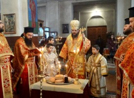 В Пловдив: Правят конференция за светеца – хирург Лука утре, пращаме свещеници