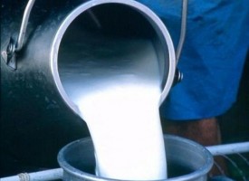 Дирекцията по безопасност на храните конфискува тон сурово мляко без документи