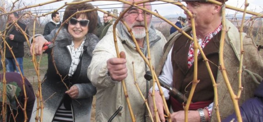 Гинче Караминова поздрави лозари и винари във Виноградец