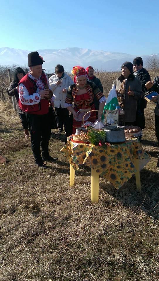 15злокуч