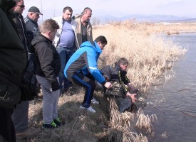 6000 шаранчета и 10 000 каленика във водоемите край Марица