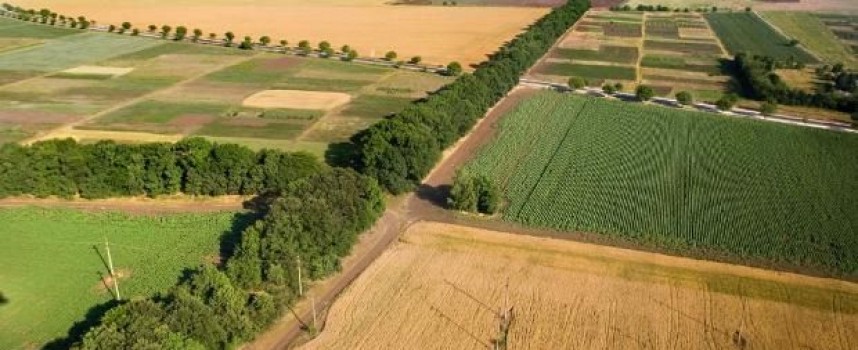 Министерство на земеделието се сдоби с имот край Попинци
