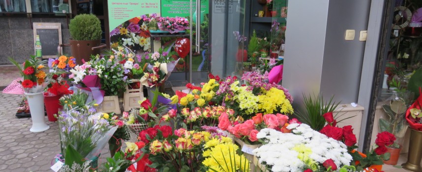 На 8 март: Пазарджик стана море от цветя, заделяме за тях по тридесет лева днес