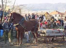 Стрелча с конни състезания в последния ден на март
