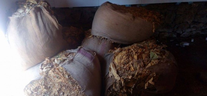 Иззеха сух тютюн и цигари от домове в Пещера, Септември и Пазарджик