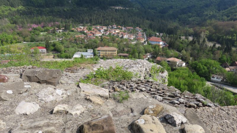 22лобната
