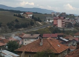 Горски инспектори задържаха камион с крадени трупи край Сърница