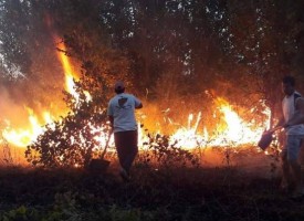 Пожар вилня в Юнаците, подпали го 59-годишен