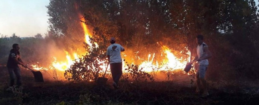 Заради жегата: 2000 дка сухи треви и храсти изгоряха край Ветрен, дебнат ни пожари
