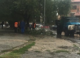 Дъждът потроши клони в различни краища на Пазарджик