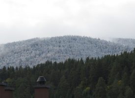 Снегът напомни за зимата, поваля в Равногор и Атолука