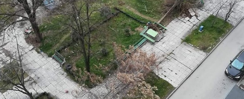 Две дървета паднаха на ул. „Болнична“