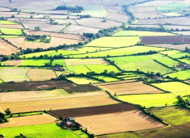 В сила са нови правила за договорите за наем на земеделска земя, знаете ли ги?