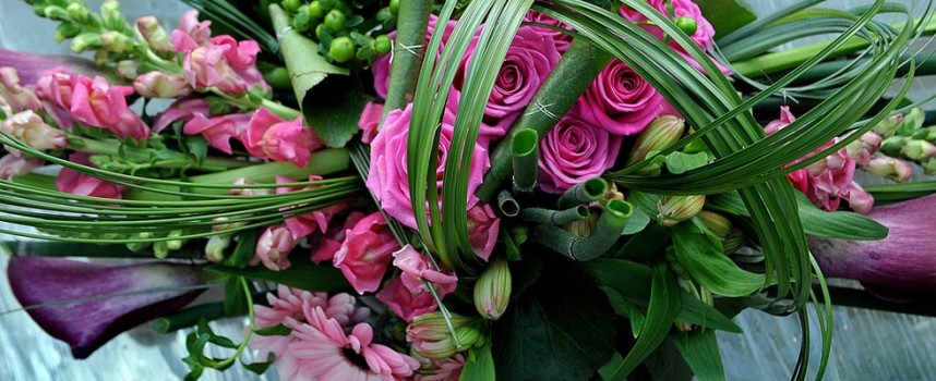 Магазините за цветя очакват 8-и март с рози, циклами, зюмбюли и екзотични растения