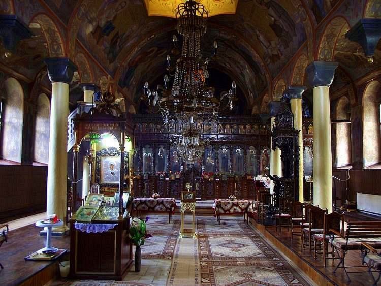 23света петка