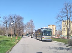 30автобуси