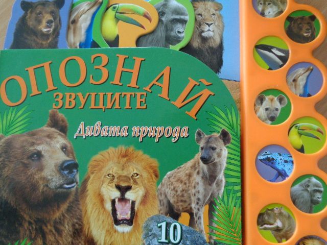 23детска