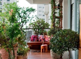 От утре: Включете се в конкурс за най-красив балкон или градина