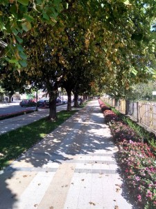 7септември1