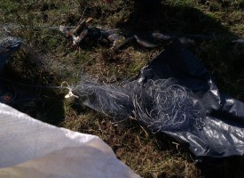 Инспекторите на ИАРА намериха мрежа с костури, червеноперки и бракониер на язовир Батак