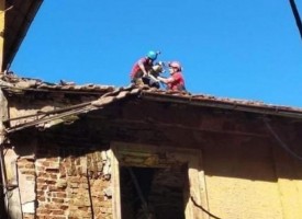 Алпинисти свалиха бездомни кучета от покрива на училището във Виноградец