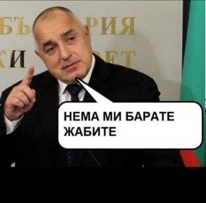 24бойко