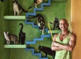 Идеи за дома: Направете къщички и катерушки за котките