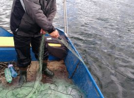 ИАРА установи нарушения на риболовци край Сърница